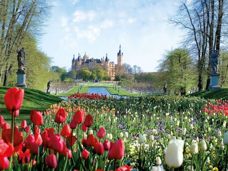 Blick über ein Tulpenmeer in den Schlossgarten und auf das Schweriner Schloss.